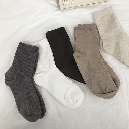 제티 socks (5color)